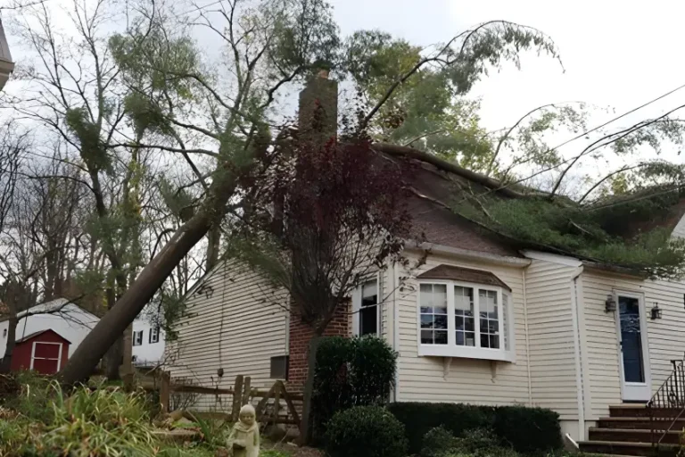Emergency tree services in New jersey