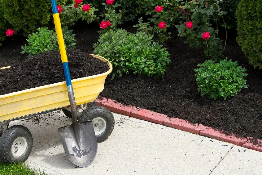 Mulching-services-in-NJ.webp
