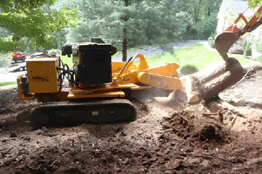 Stump grinding by sage tree experts