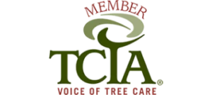 TCIA-Member.webp