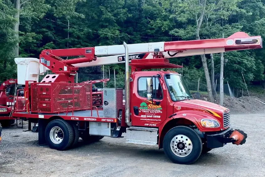 Tree Removal services in New Jersey By Sage