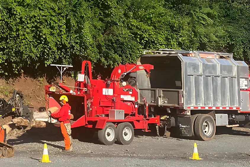 Tree removal services in nj