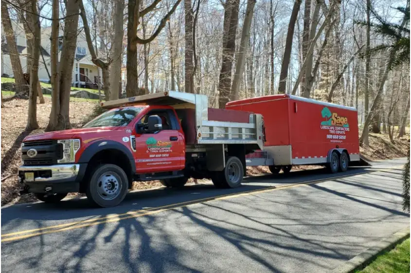 Tree service planning