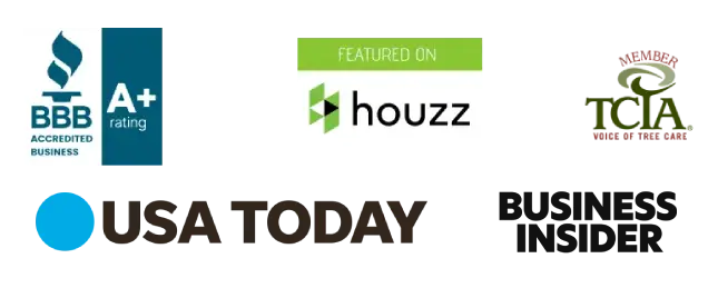 Business Insider and USA today