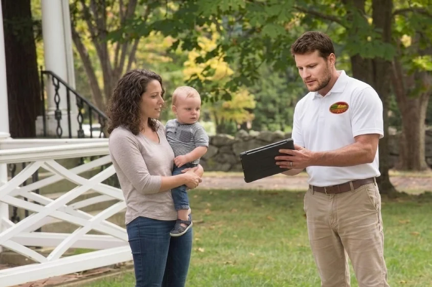 Tree removal services and quotes