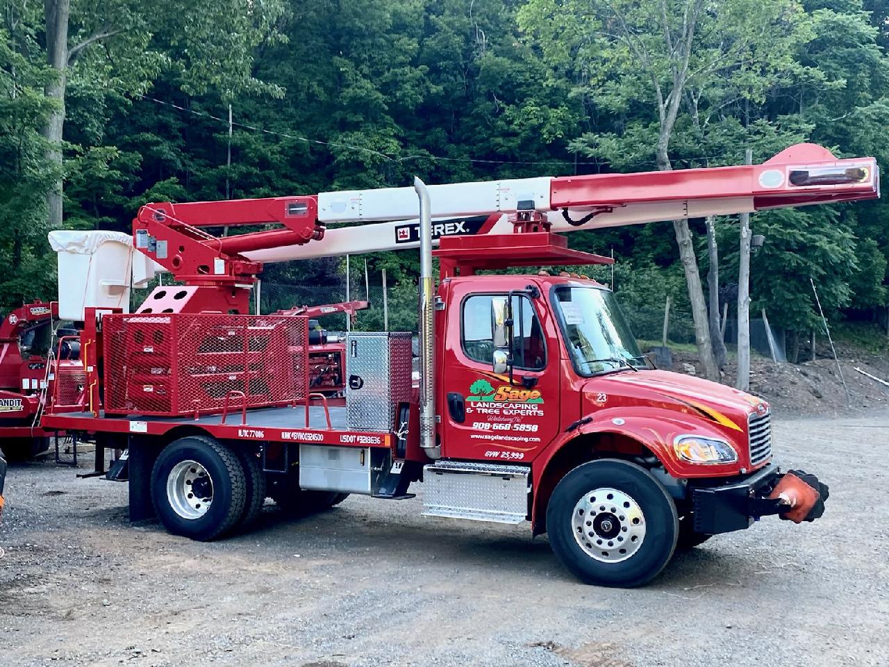 Storm Damage Tree Removal | North Plainfield NJ Tree Service Experts