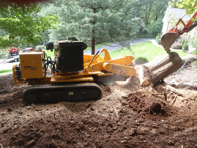 Saturated Ground Tree Failure | Warren NJ Tree Care Company Explains