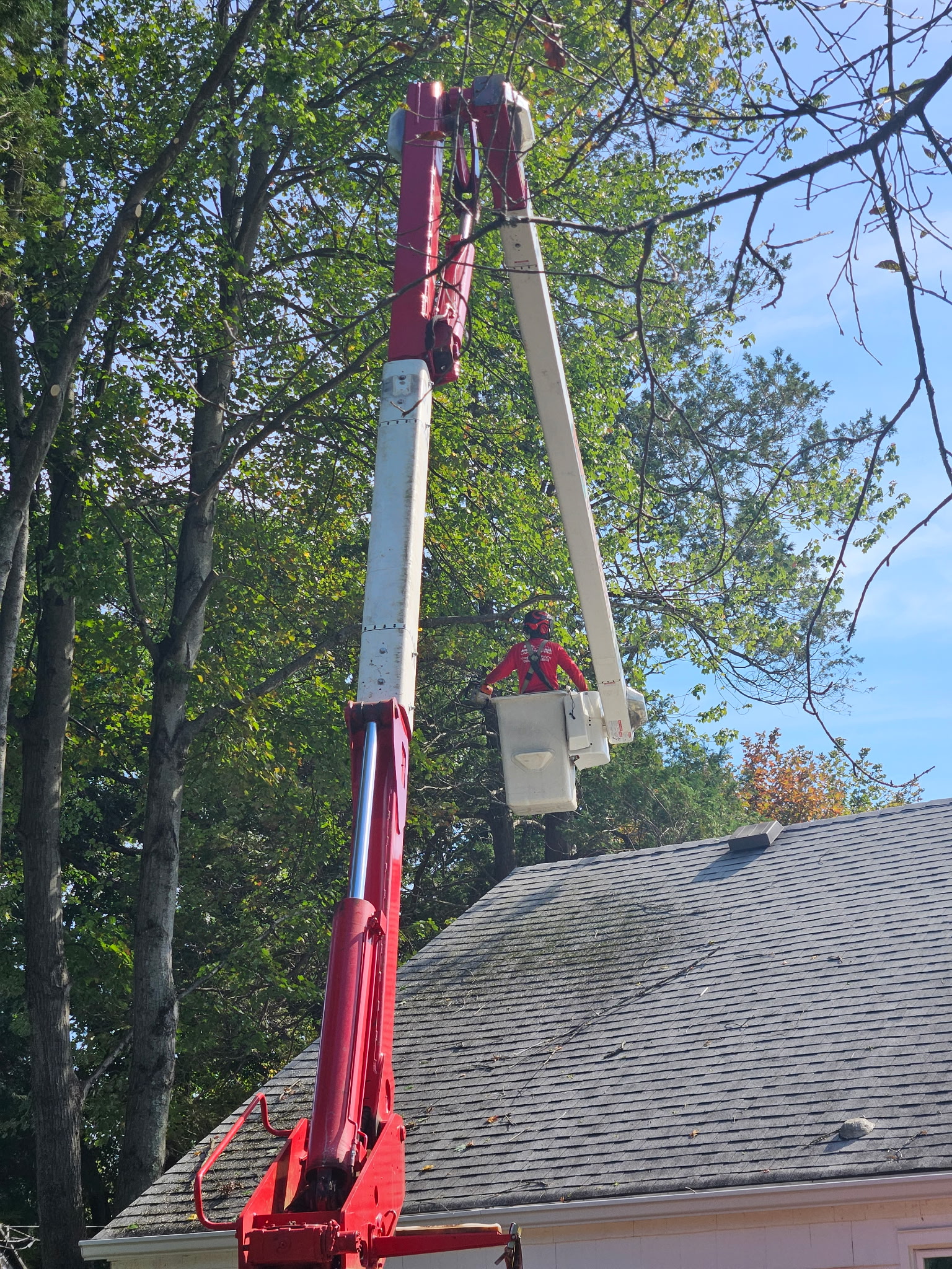 Close-up of the crew member in the aerial bucket above the roof. - Sage landscaping & Tree Experts