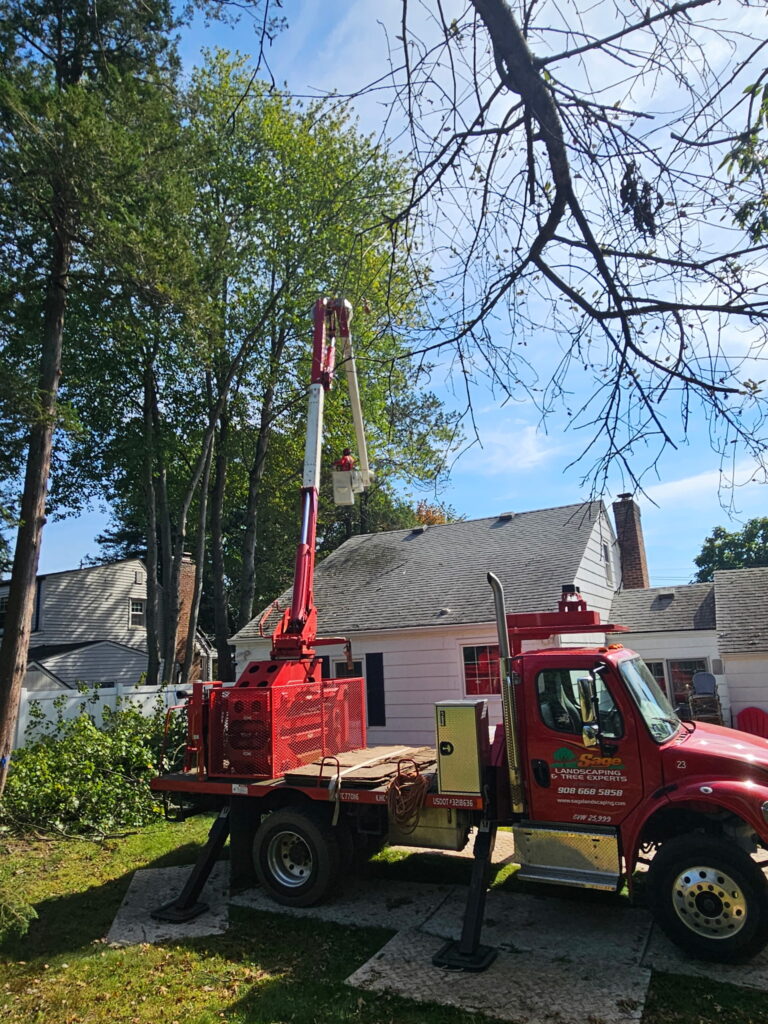 Sage Tree Experts positioned an aerial lift beside the Florham Park home to access large trees near the roof. Sage Landscaping & Tree Experts