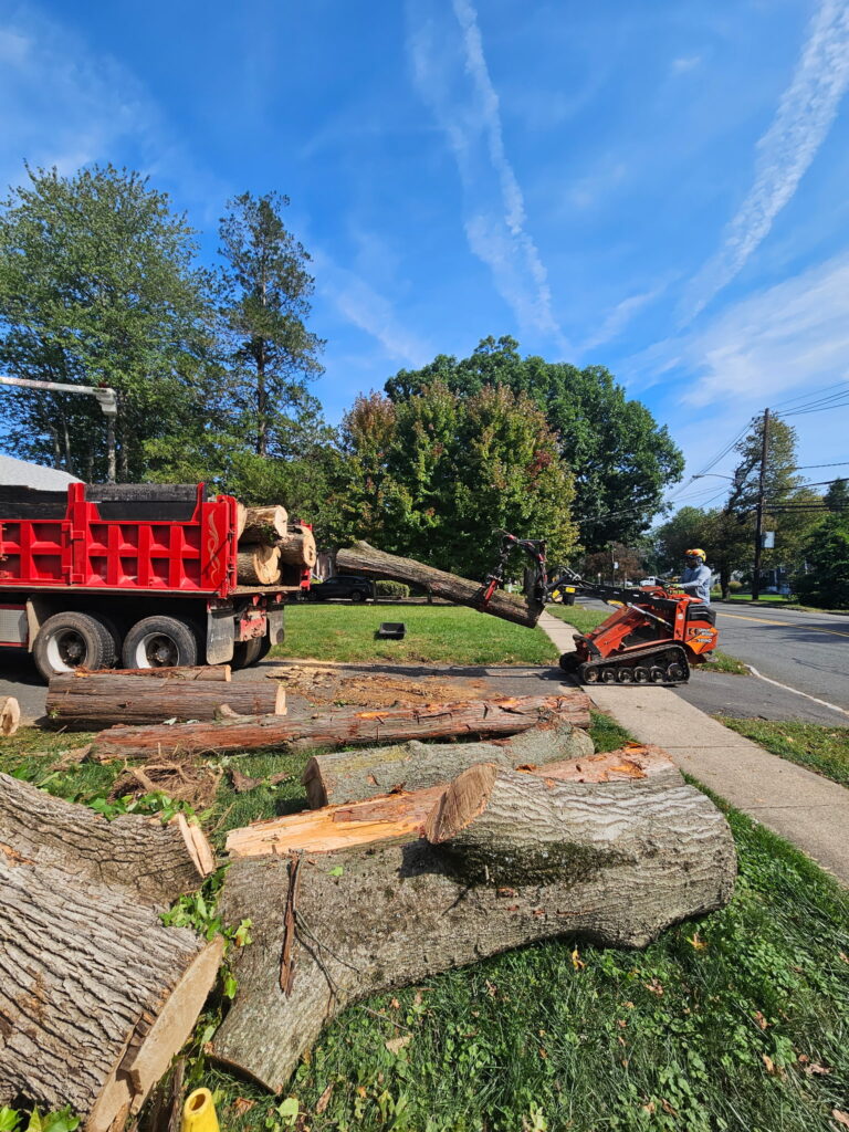 A grapple-equipped tracked loader moves a large cut tree section for loading during the Florham Park project. Sage Landscaping & Tere Experts