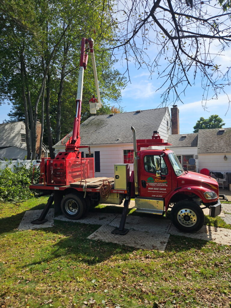 A wide view of the aerial-lift setup beside the home during Sage Tree Experts’ tree removal and pruning project. Sage Landscaping & tree Experts
